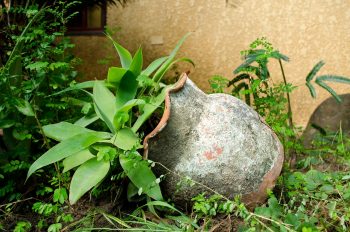 Gardening is a dangerous activity?